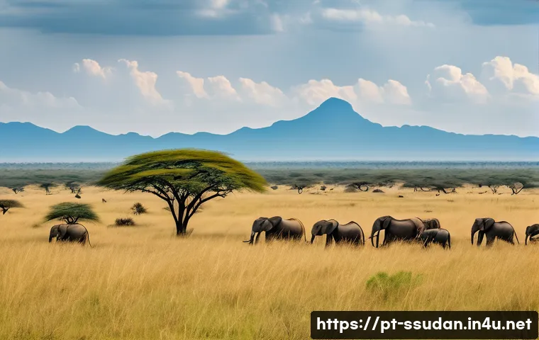 남수단의 국립공원과 자연경관 - A panoramic view of Boma National Park in South Sudan during the antelope migration season, featurin...